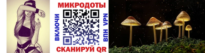 Галлюциногенные грибы мухоморы  Купить закладки  Тотьма 